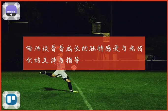 哈珀谈哥哥成长的独特感受与老将们的支持与指导