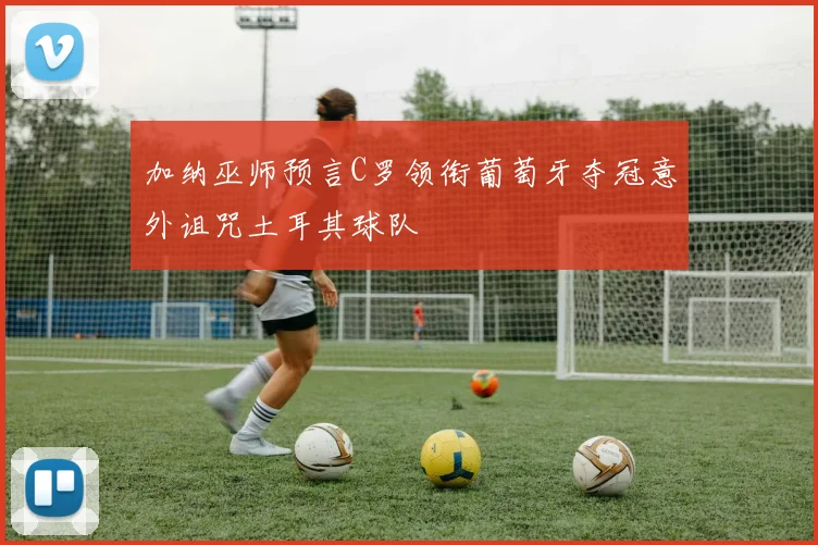 加纳巫师预言C罗领衔葡萄牙夺冠意外诅咒土耳其球队