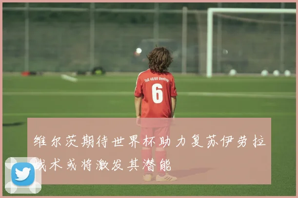 维尔茨期待世界杯助力复苏伊劳拉战术或将激发其潜能